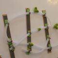 IMG 8587